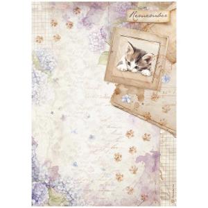 Stamperia Quiet Days Collection - A4 Rice Paper - Kitten [DFSA41072]